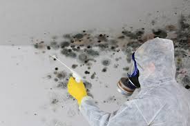 Best Crawl Space Mold Remediation  in Roland, AR